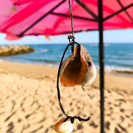 Apartament William's - Fourth Pretty