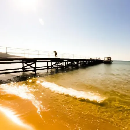 William's - Fourth Pretty Święty Włas