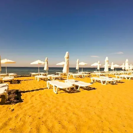 William's - Fourth Pretty Święty Włas