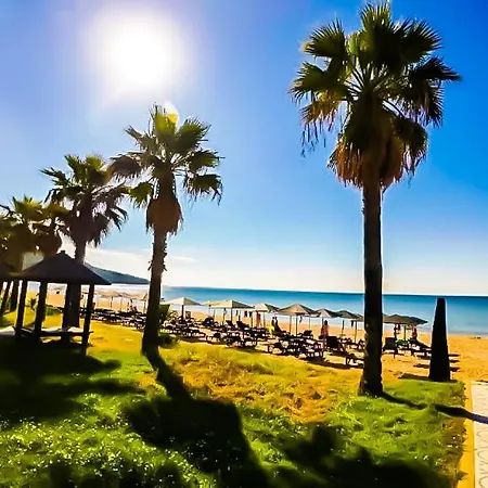 William's - Fourth Pretty Święty Włas