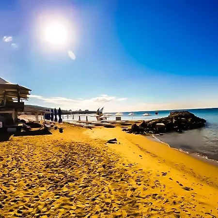 William's - Fourth Pretty Święty Włas