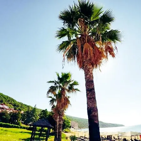 William's - Fourth Pretty * Święty Włas