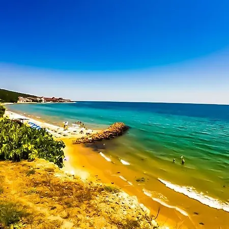 William's - Fourth Pretty Święty Włas