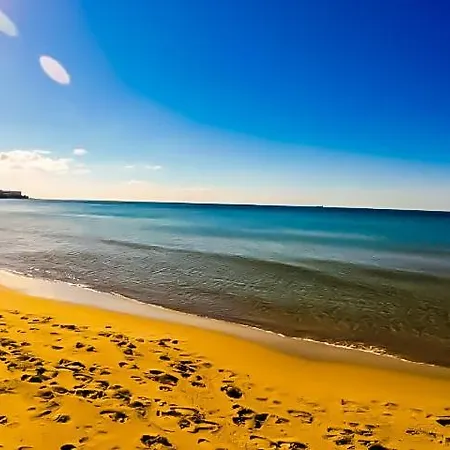 William's - Fourth Pretty *