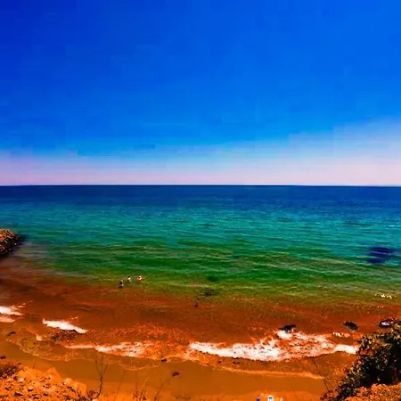 William's - Fourth Pretty