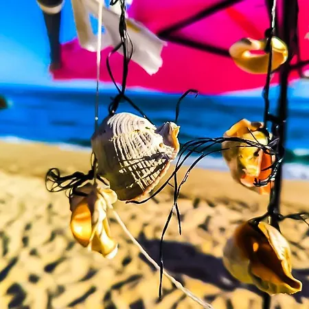 William's - Fourth Pretty Apartament