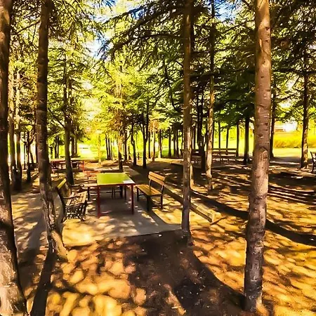 William's - Fourth Pretty * Święty Włas