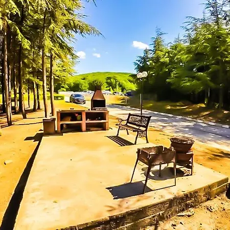 William's - Fourth Pretty Święty Włas