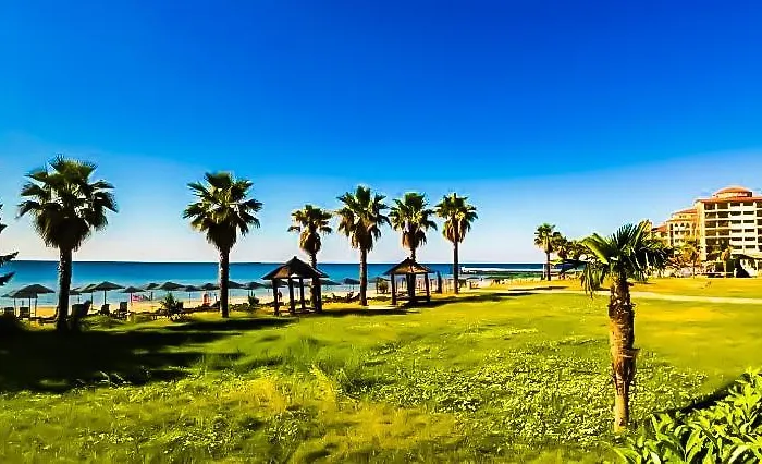 William's - Fourth Pretty * Sweti Wlas