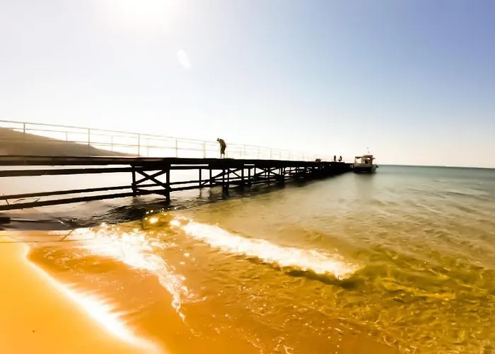 William's - Fourth Pretty Sweti Wlas