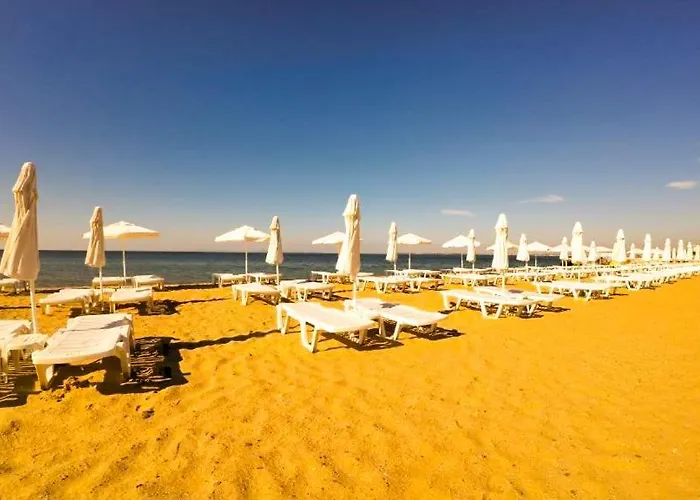 William's - Fourth Pretty Sweti Wlas