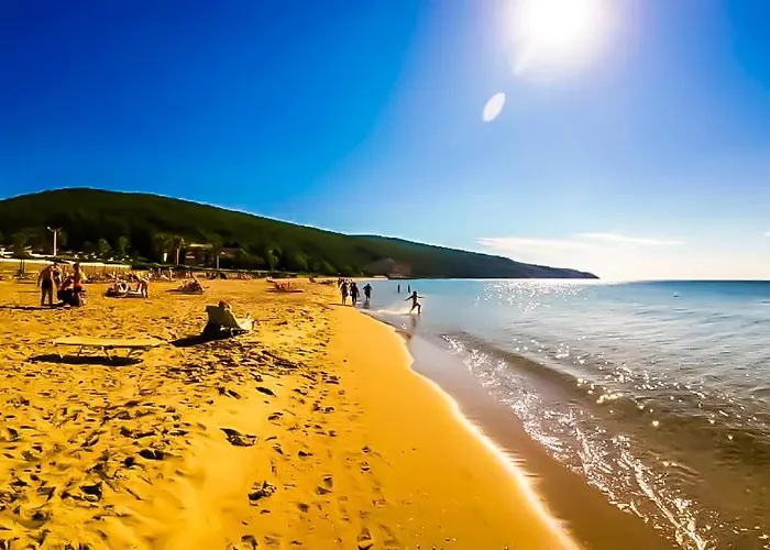 William's - Fourth Pretty * Sweti Wlas