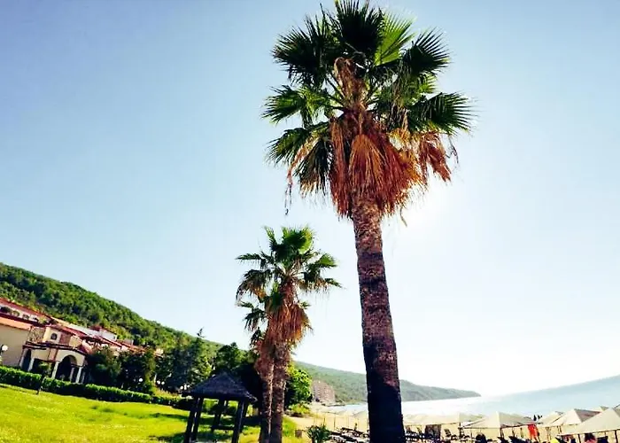 William's - Fourth Pretty * Sweti Wlas