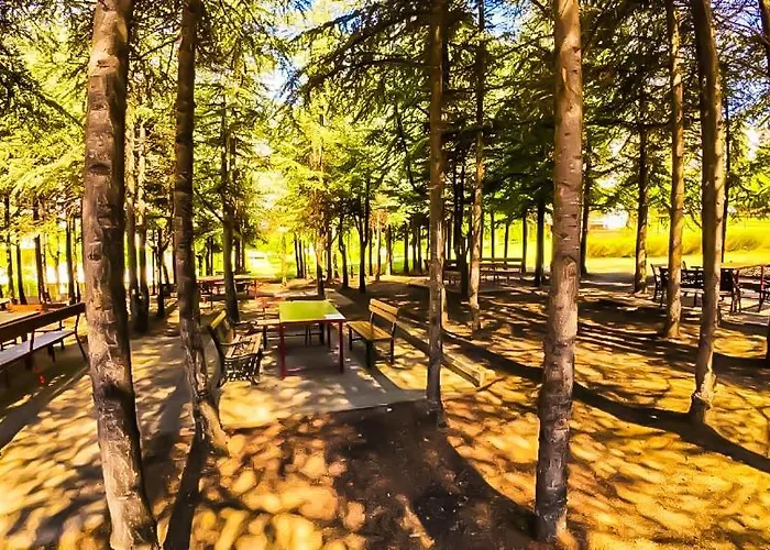 William's - Fourth Pretty * Sweti Wlas